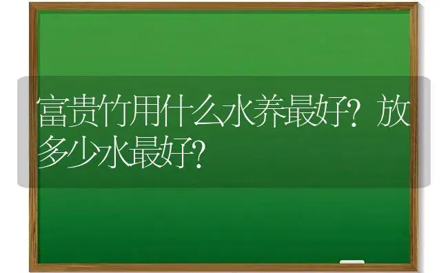 富贵竹用什么水养最好?放多少水最好？ | 植物问答