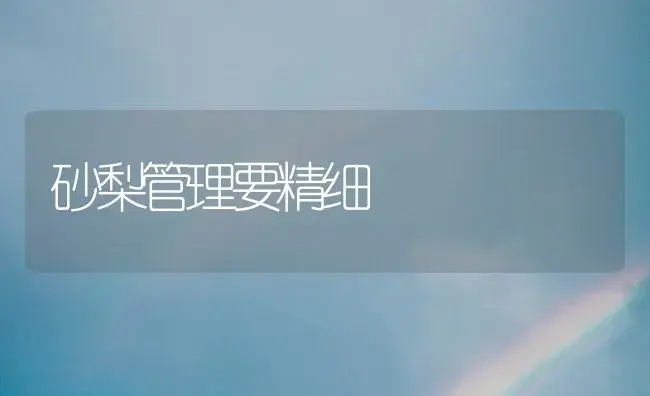 砂梨管理要精细 | 植物百科