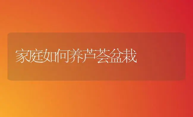 家庭如何养芦荟盆栽 | 植物科普