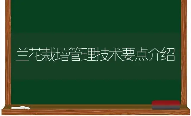 兰花栽培管理技术要点介绍 | 植物科普