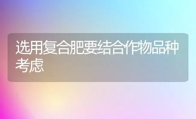 苹果品种--嘎啦(图) | 植物科普