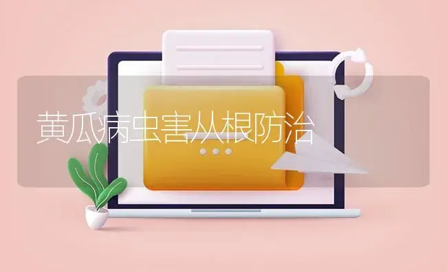 苹果分级卖 价格相差近一倍 | 植物百科