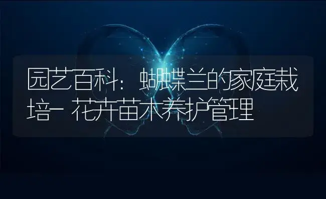 园艺百科：蝴蝶兰的家庭栽培-花卉苗木养护管理 | 植物科普