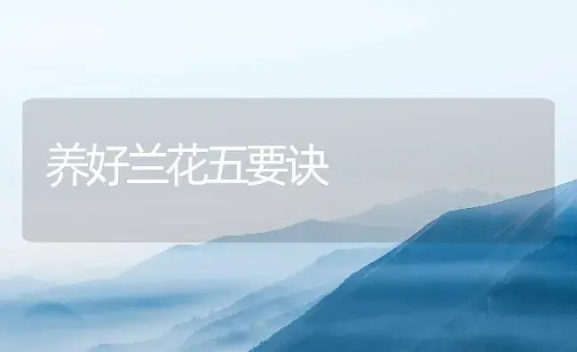 养好兰花五要诀 | 植物知识