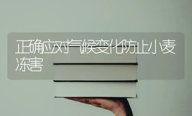 正确应对气候变化防止小麦冻害 | 植物科普