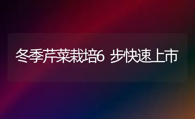 冬季芹菜栽培6步快速上市 | 植物科普