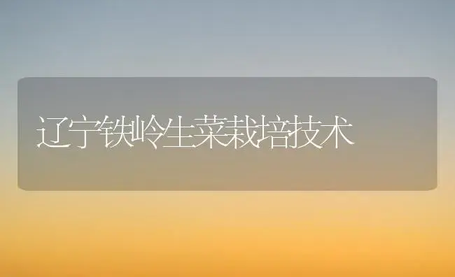 辽宁铁岭生菜栽培技术 | 植物百科