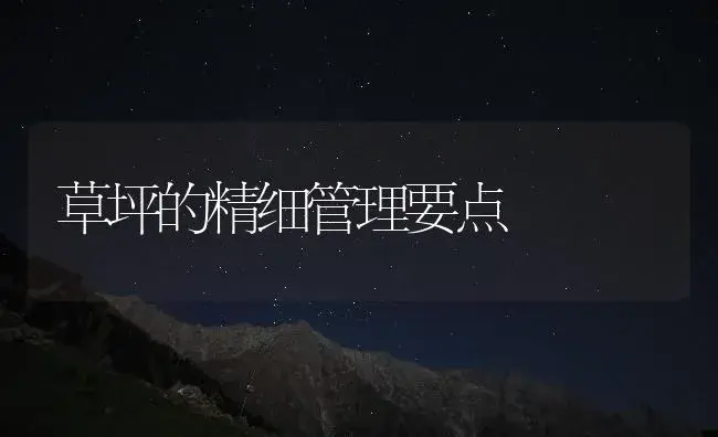 草坪的精细管理要点 | 植物知识