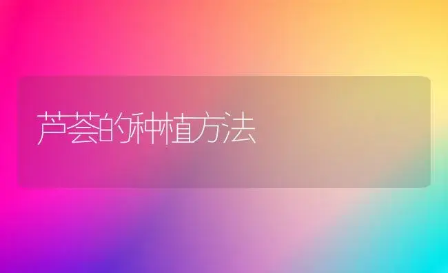 芦荟的种植方法 | 植物知识