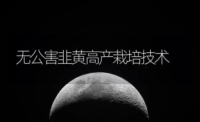 无公害韭黄高产栽培技术 | 植物百科