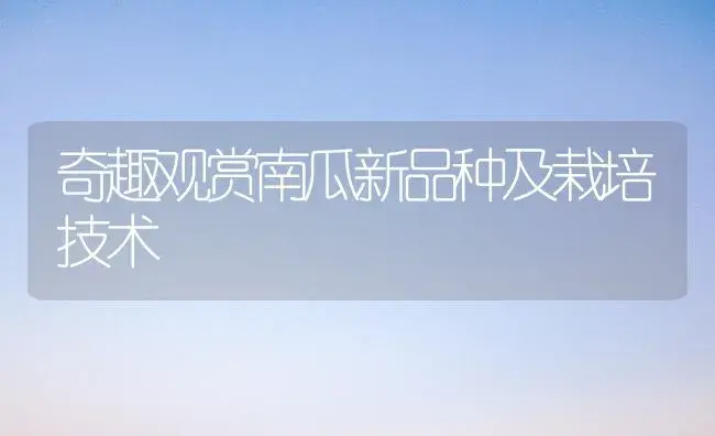 奇趣观赏南瓜新品种及栽培技术 | 植物科普