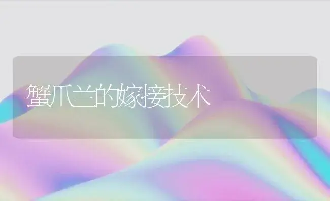 蟹爪兰的嫁接技术 | 植物科普