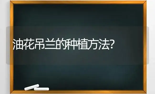 油花吊兰的种植方法？ | 植物问答