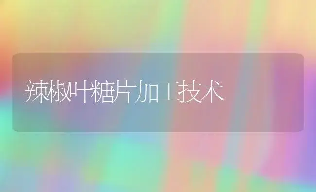 辣椒叶糖片加工技术 | 植物百科