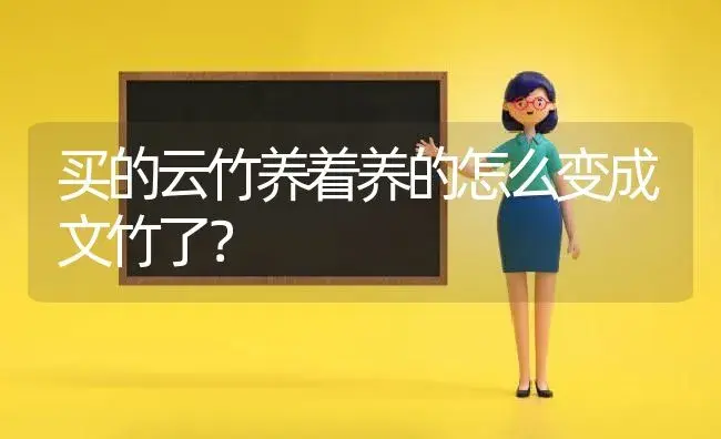 买的云竹养着养的怎么变成文竹了？ | 植物问答