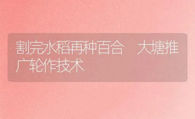 割完水稻再种百合 大塘推广轮作技术 | 植物知识