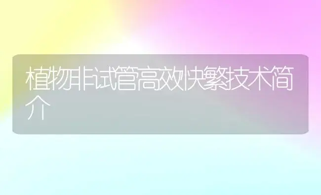 植物非试管高效快繁技术简介 | 植物知识