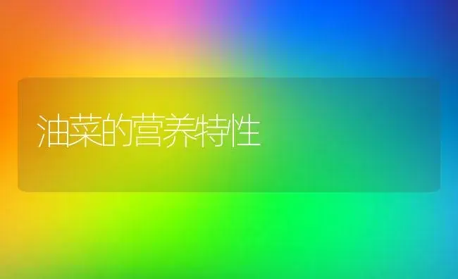 油菜的营养特性 | 植物百科