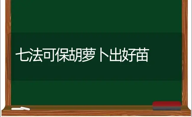 七法可保胡萝卜出好苗 | 植物科普