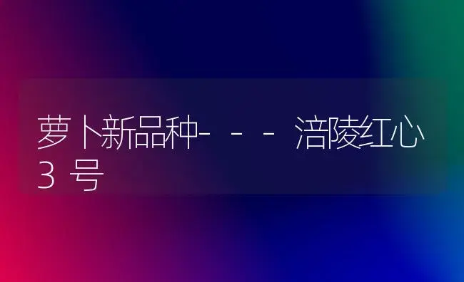 萝卜新品种---涪陵红心3号 | 植物科普