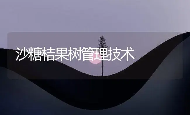 沙糖桔果树管理技术 | 植物百科