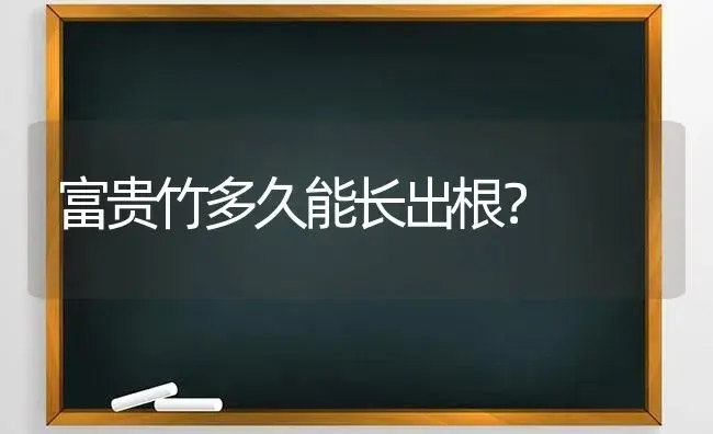 富贵竹多久能长出根？ | 植物问答