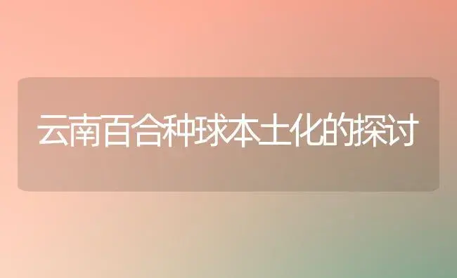 云南百合种球本土化的探讨 | 植物知识