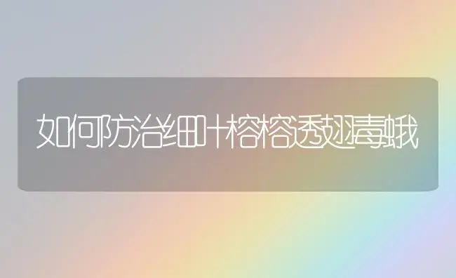 如何防治细叶榕榕透翅毒蛾 | 植物知识