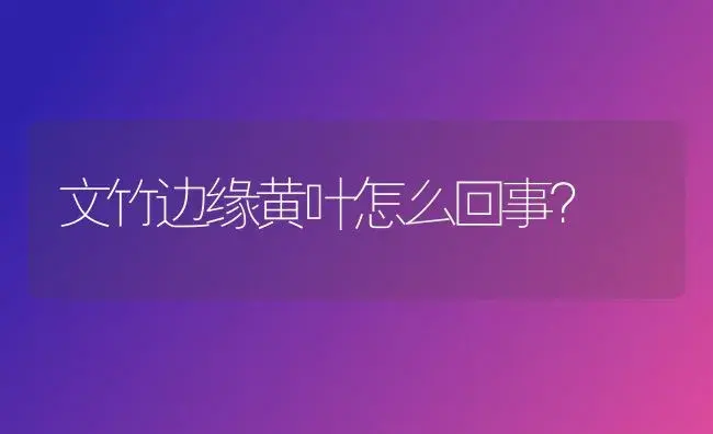 文竹边缘黄叶怎么回事？ | 植物问答