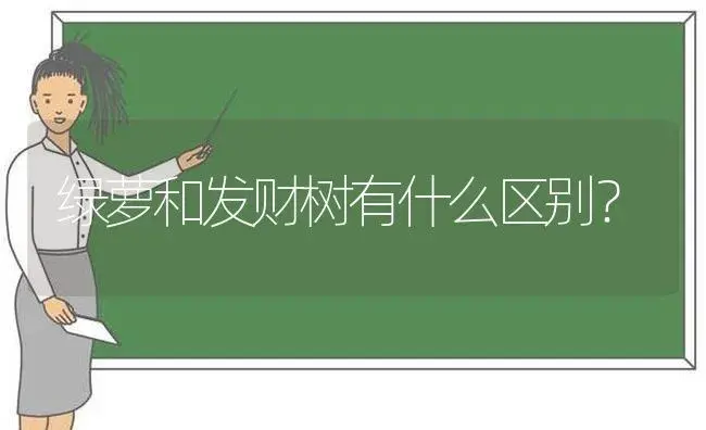 龟背竹类似的绿植？ | 植物问答