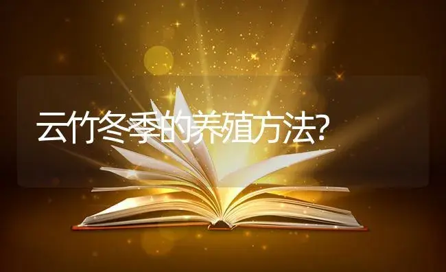 云竹冬季的养殖方法？ | 植物问答