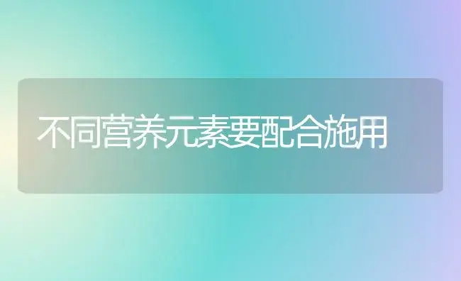 不同营养元素要配合施用 | 植物科普