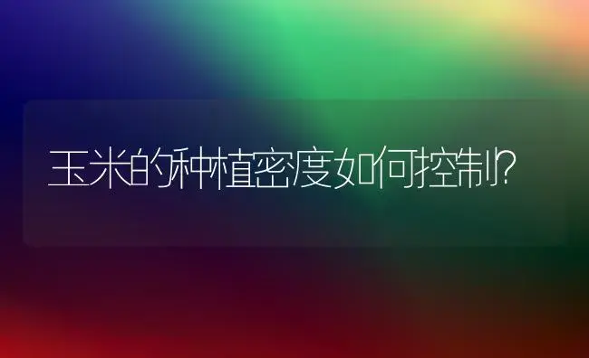 玉米的种植密度如何控制？ | 植物科普
