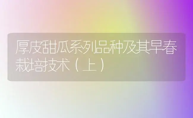 厚皮甜瓜系列品种及其早春栽培技术（上） | 植物科普