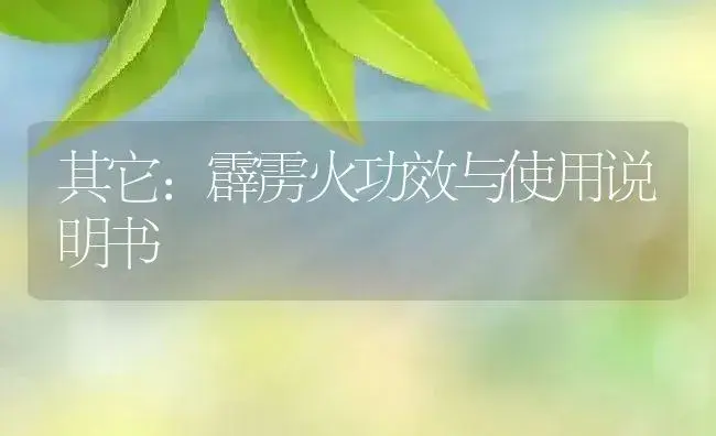 其它：霹雳火 | 适用防治对象及农作物使用方法说明书 | 植物资料