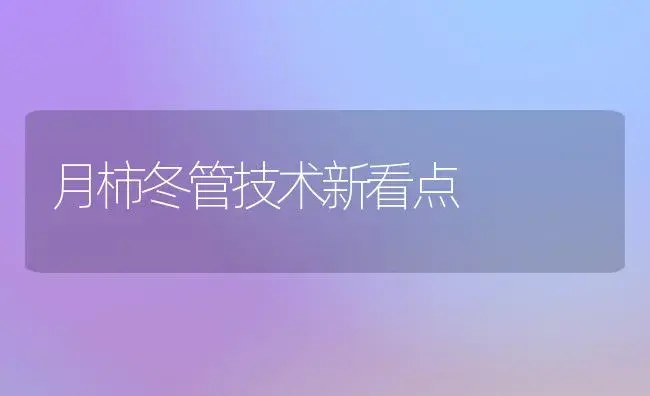四季芒果栽培技术要点 | 植物百科