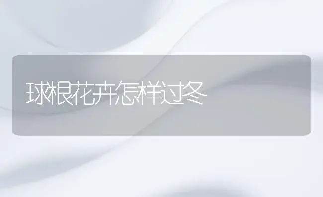 球根花卉怎样过冬 | 植物知识