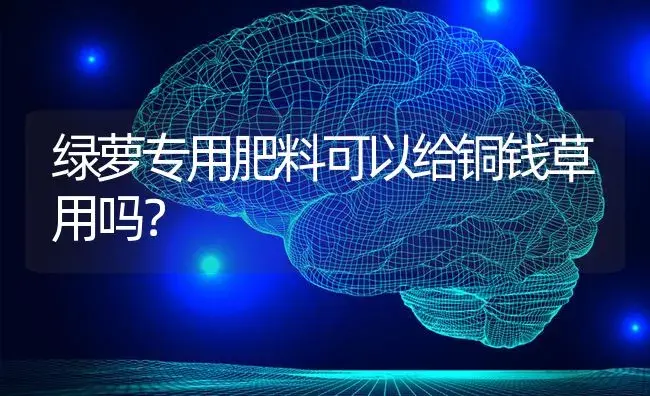 绿萝专用肥料可以给铜钱草用吗？ | 植物问答