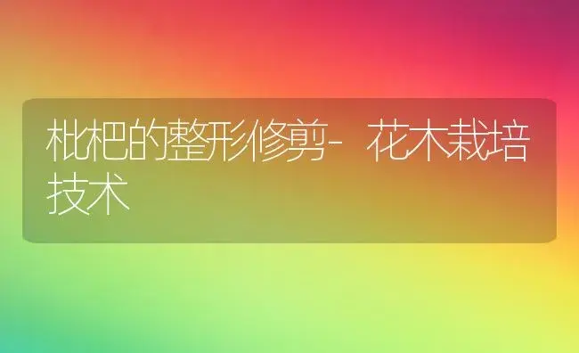 枇杷的整形修剪-花木栽培技术 | 植物科普