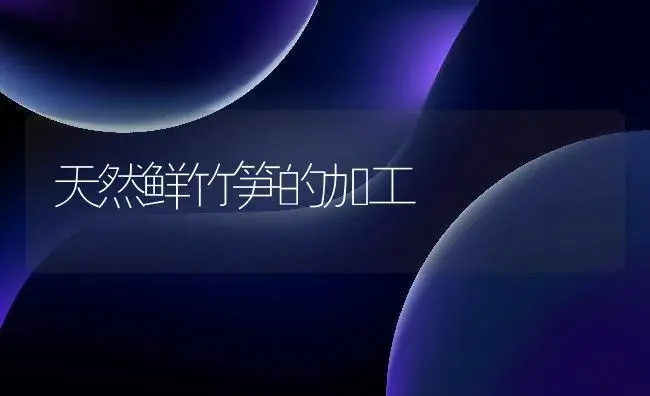 天然鲜竹笋的加工 | 植物百科