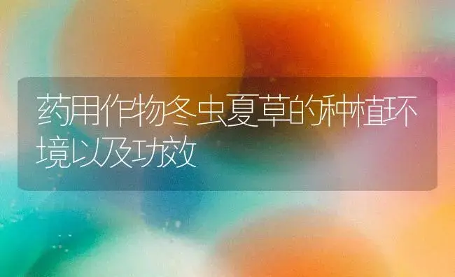 药用作物冬虫夏草的种植环境以及功效 | 植物知识