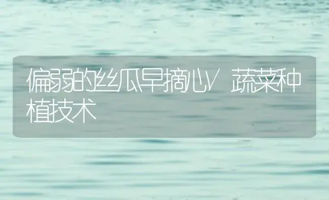 西瓜畸形果的形成原因 | 植物百科
