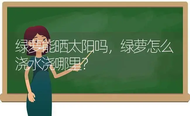 绿萝能晒太阳吗，绿萝怎么浇水浇哪里？ | 植物问答