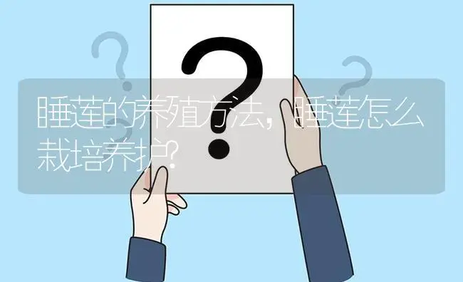 睡莲的养殖方法，睡莲怎么栽培养护? | 植物知识