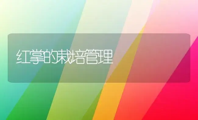 花花草草过秋季 盆栽盆花养护要注意以下几点-花卉苗木养护管理 | 植物知识
