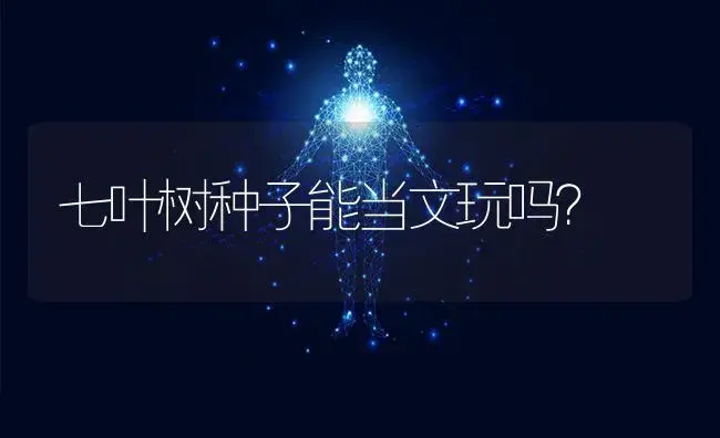 七叶树种子能当文玩吗？ | 植物问答