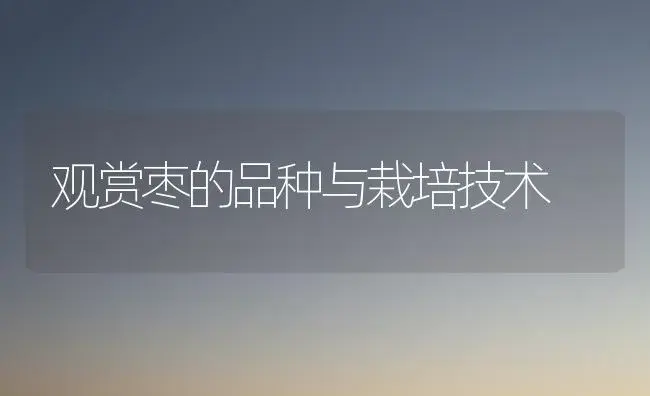 观赏枣的品种与栽培技术 | 植物科普