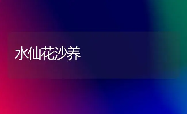 水仙花沙养 | 植物科普