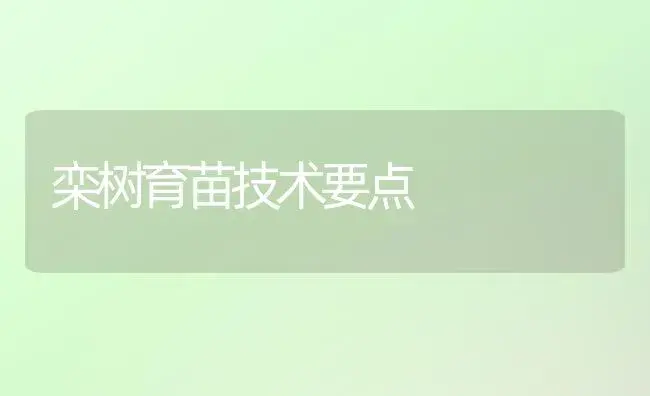 栾树育苗技术要点 | 植物科普