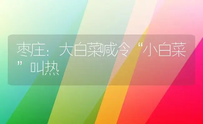 枣庄：大白菜喊冷“小白菜”叫热 | 植物科普